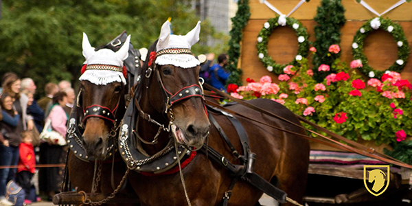 Royal Windsor Horse Show & Racecourse Chauffeured Car Hire Services